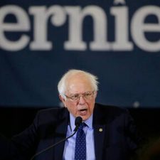 ¿Eligirá el Partido Demócrata a un ‘socialista’?