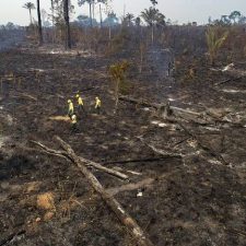 La destrucción del Amazonas alcanza un nuevo récord